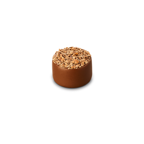 Chocolatier - Mud Cake Pralines x 48