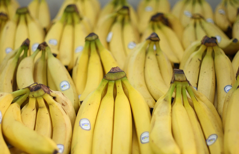 The New Trend of Upcycling Food in 2020