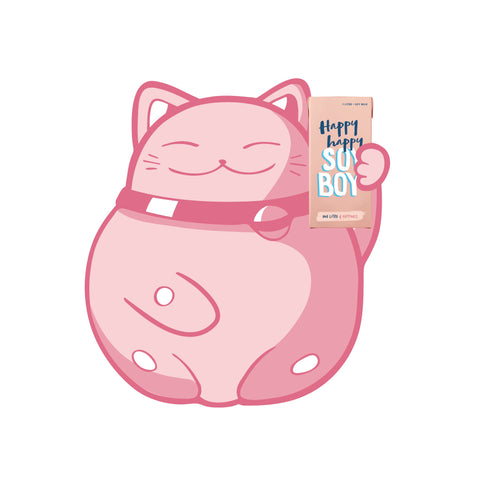 Happy Happy Soy Boy - Soy Milk 1L x 6
