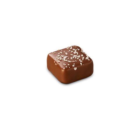 Chocolatier - Milk Salted Caramel x 48