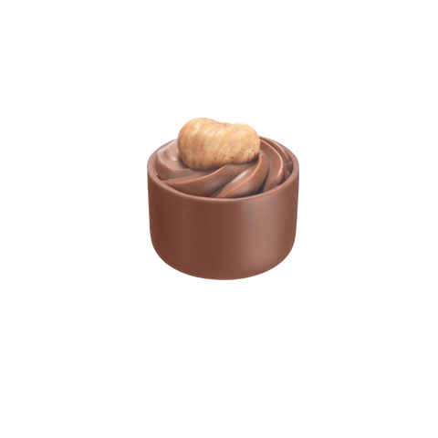 Chocolatier - Carousel Pralines x 48