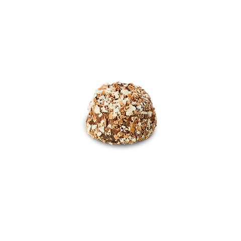 Chocolatier - Hazelnut Praline Truffles x 48